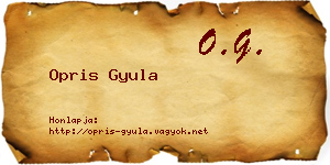Opris Gyula névjegykártya