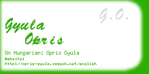gyula opris business card